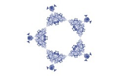 2014 04 30 Webs and Things 25-white.jpg